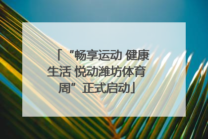 “畅享运动 健康生活 悦动潍坊体育周”正式启动